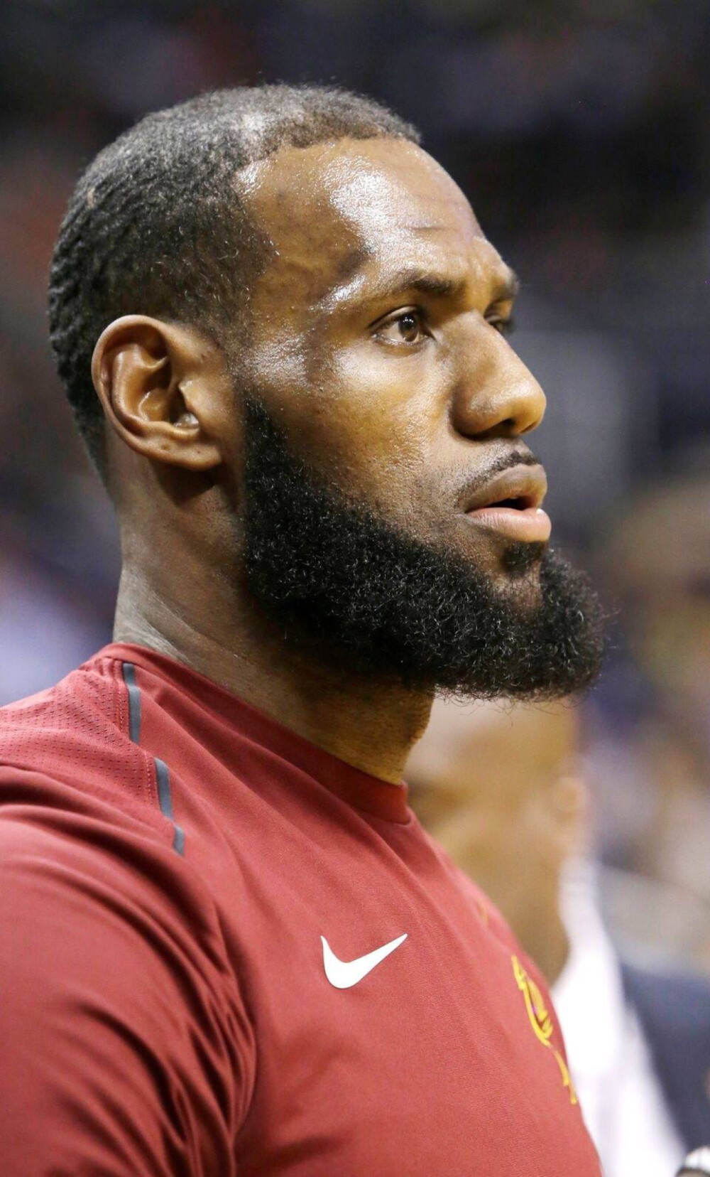 体竞争力的 体竞争力的